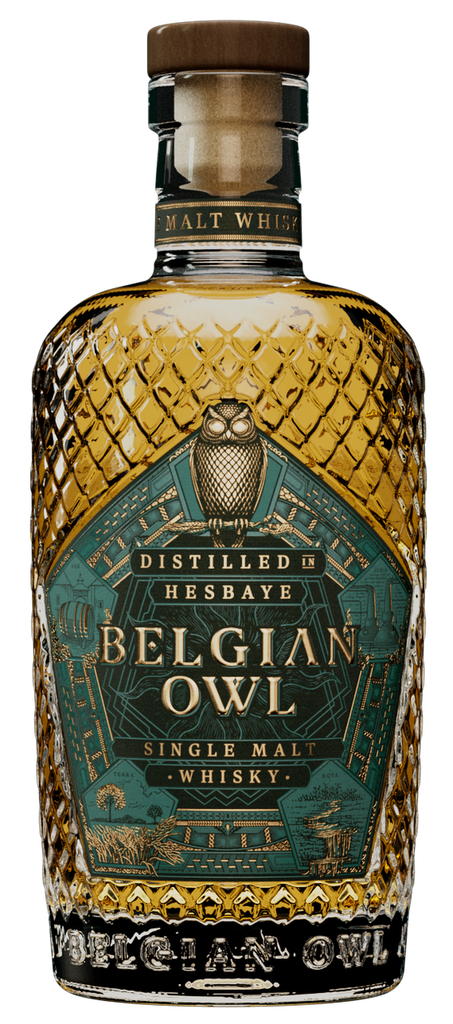 Belgian Owl 3 Years