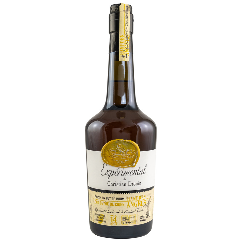 Ch. Drouin Hampden Angels 14 Years